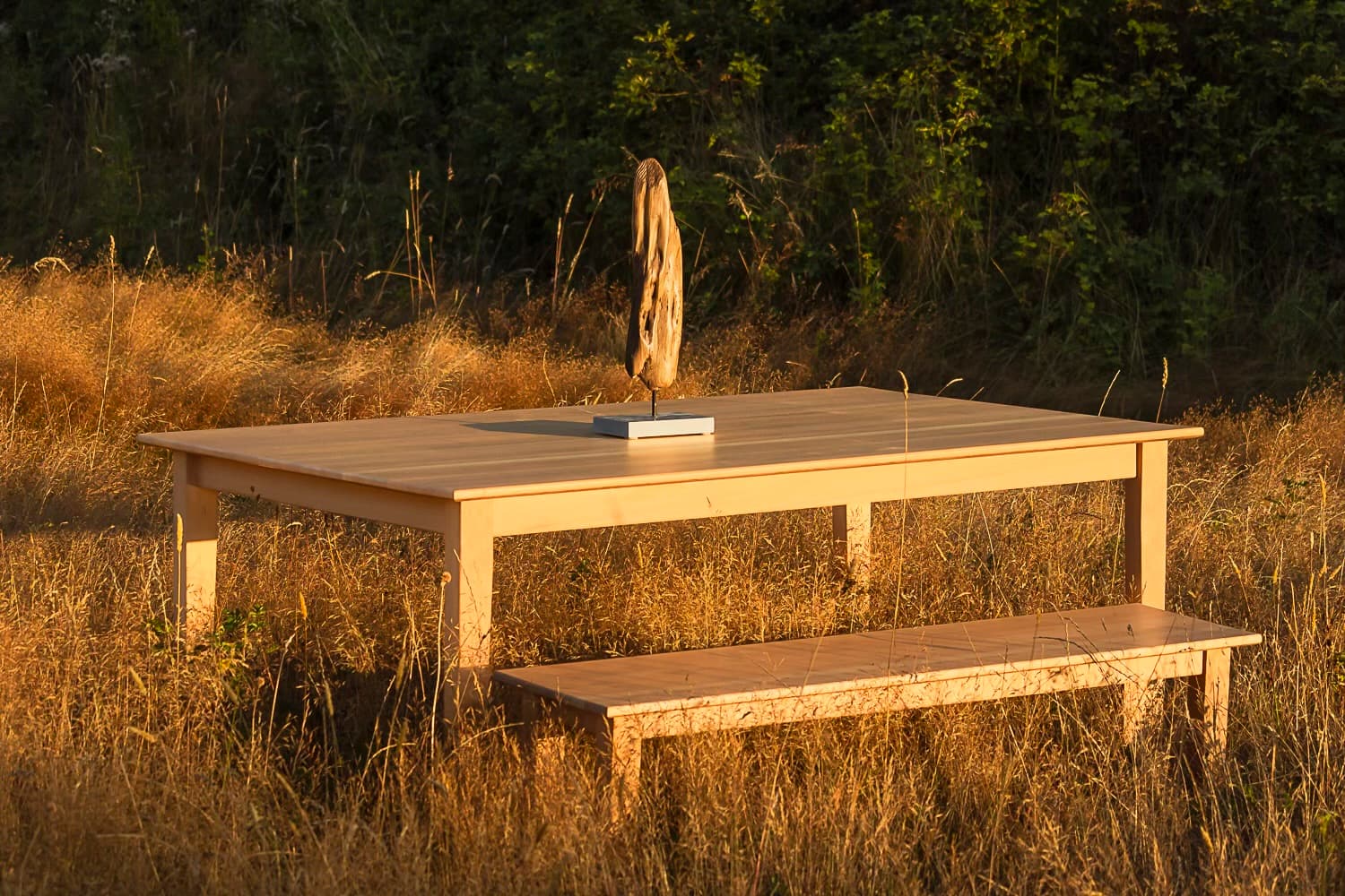 Sustainable Workshop